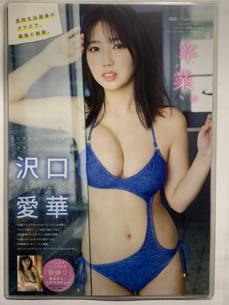 沢口愛華 グラビア切り抜きセット fkip.unmul.ac.id