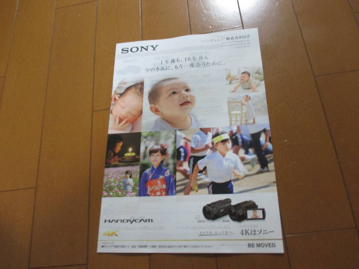 B13963 каталог * Sony * обобщенный Handycam 4K2017.8 выпуск 31 страница 