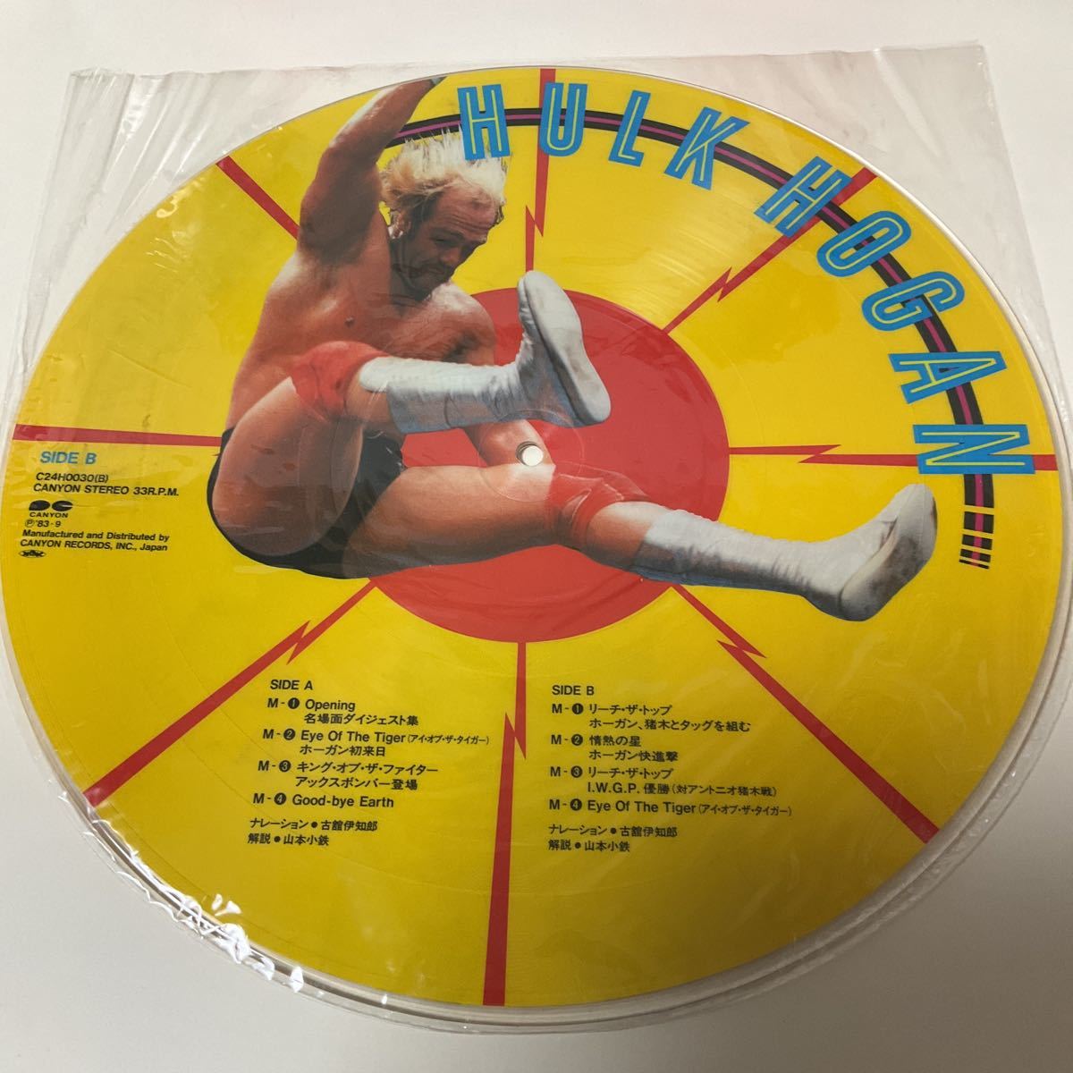 Hulk Hoganレコード / ピクチャー盤-