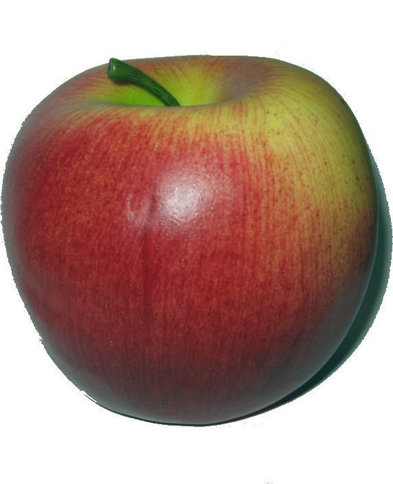  фрукты образец яблоко ( красный, желтый цвет ) диаметр 8cm × высота 7cm вес 113g поддельный 