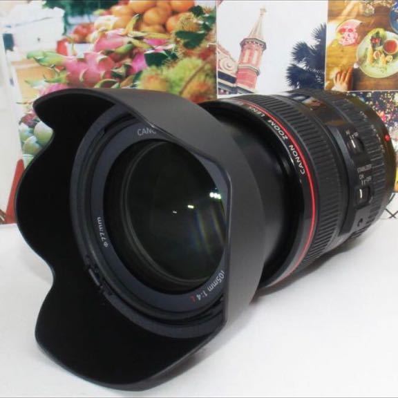 至高の神レンズCanon EF 24-105 mm F4L IS USM | www.bauen.com.ar