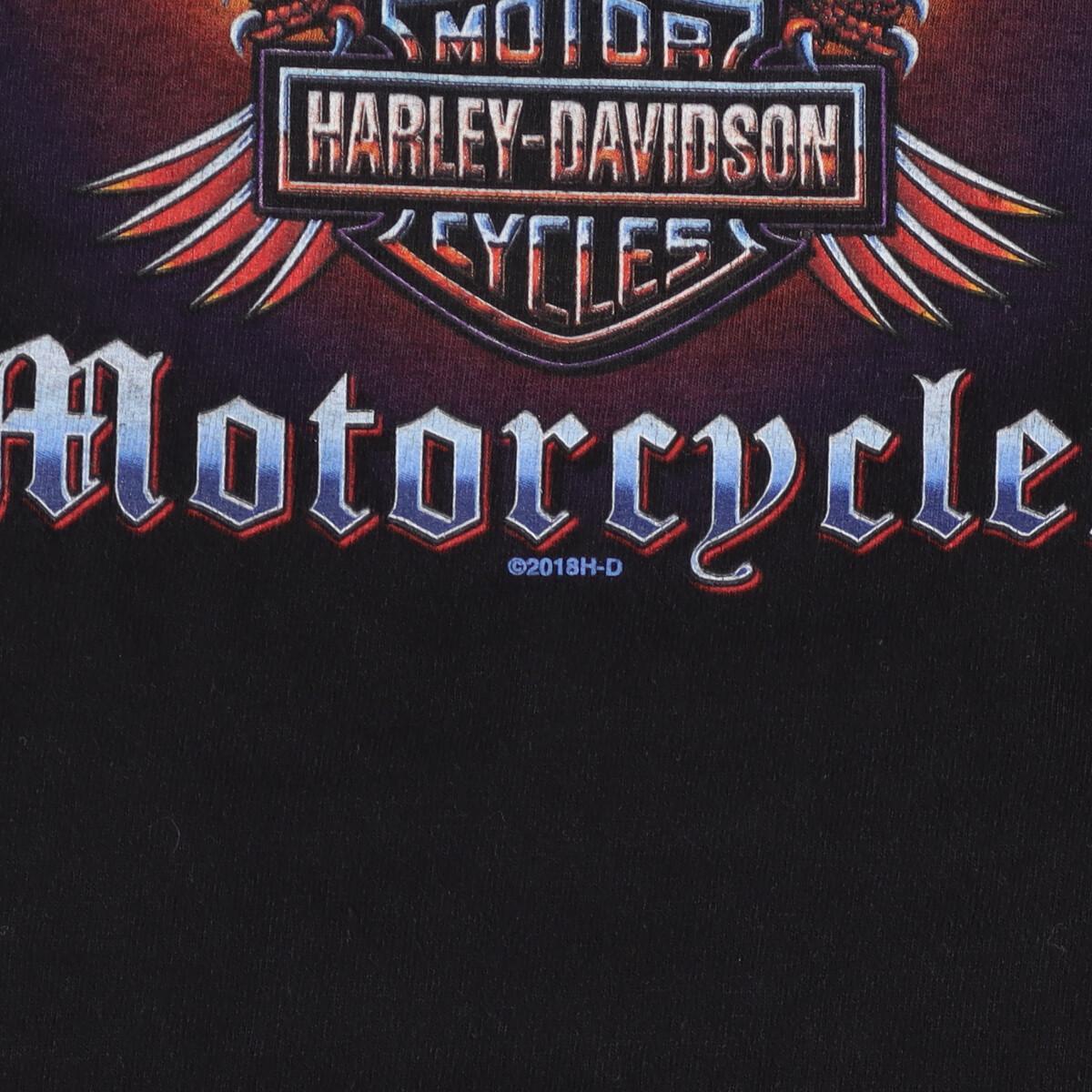 古着 ハーレーダビッドソン Harley-Davidson 両面プリント モーターサイクル バイクTシャツ XXL /eaa322695_画像4