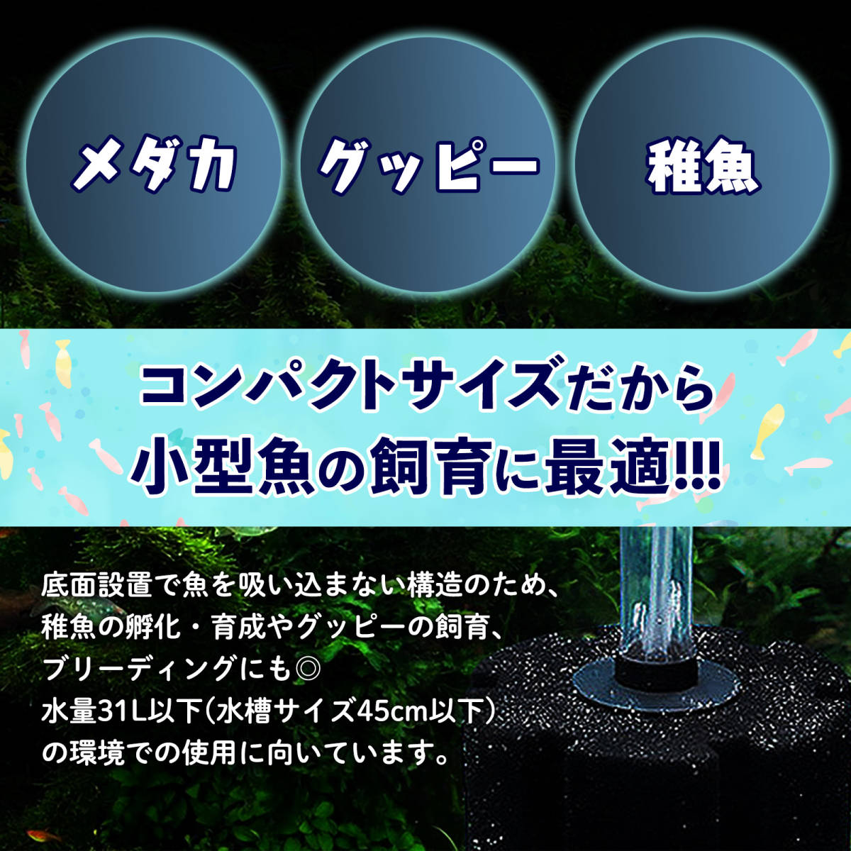 スポンジフィルター 5個 小型 水槽 クリーンフィルター エアポンプ バクテリア 濾過 ろ材 ろ過 メダカ 金魚 熱帯魚 グッピー 水質改善_画像2