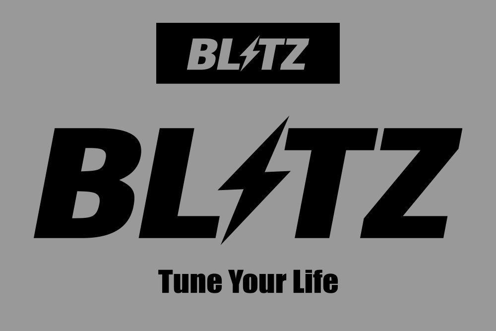 【BLITZ/ブリッツ】 BLITZ WEAR BLITZ ZIP PARKA GRAY ジップアップパーカー サイズM [13786]_画像4