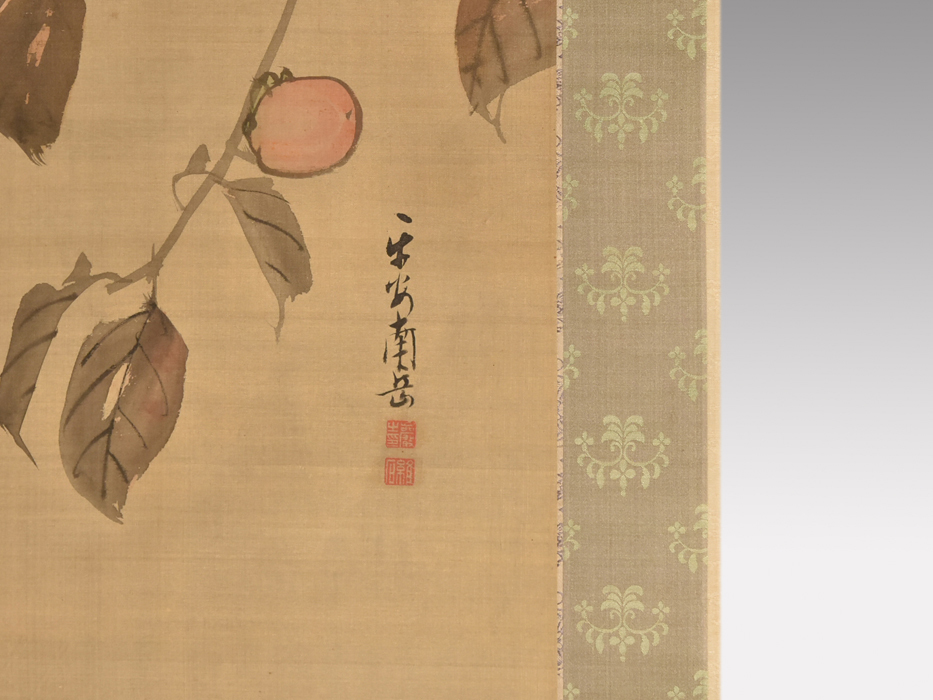 渡辺南岳 柿に小禽図 掛軸 円山派画家 書画 軸 応門十哲 絹本縦幅 y1408 大幅 江戸後期 応挙師事 絵画