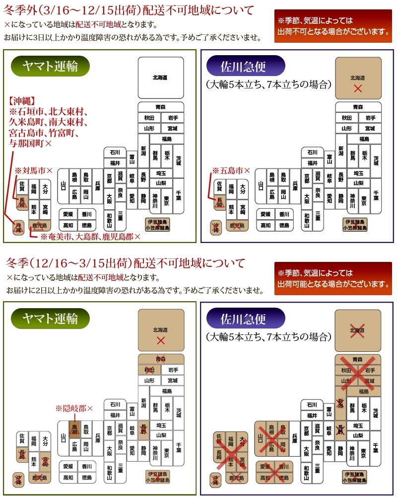 HS　胡蝶蘭　コチョウラン　贈答用　ギフト　大輪　7本立て　お花の数91輪以上（つぼみ込み）花の色　ピンク　送料無料_画像3