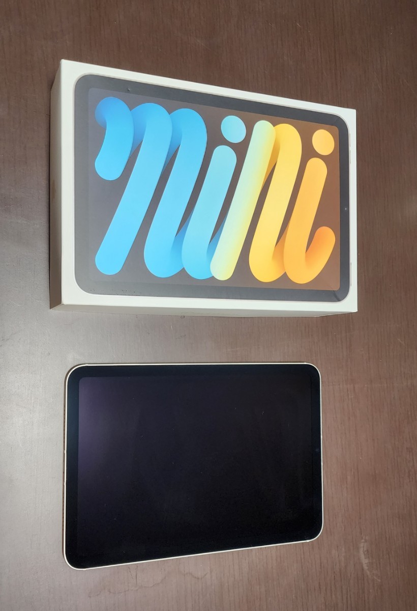 限定金額送料無料 国内版SIMフリー IPAD MINI WI-FI+cellular 256gb