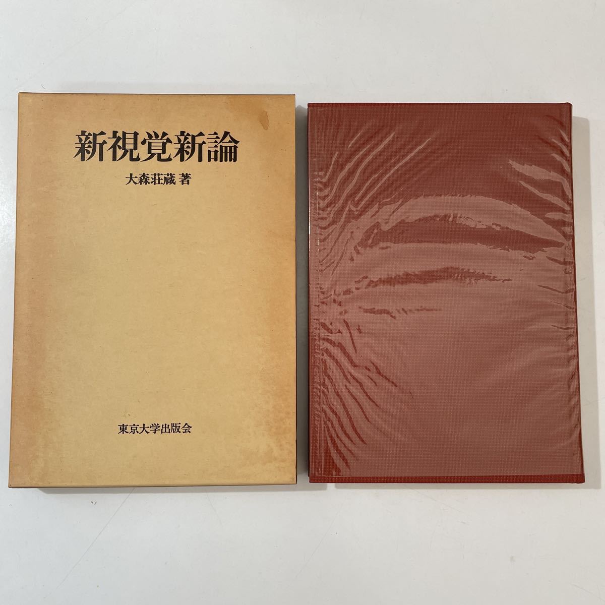 大森荘蔵　新視覚新論　東京大学出版会　名著　稀少　函入り　視覚新論　バークリィ　フッサール　ベルグソン　重ね書き　透視構造　私_画像1