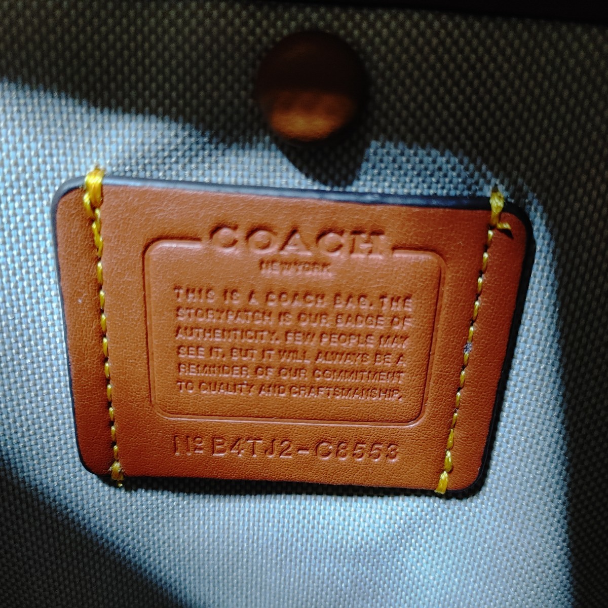 沸騰ブラドン Coach ローグ25 ローグ25 ディズニー ミッキー フレン