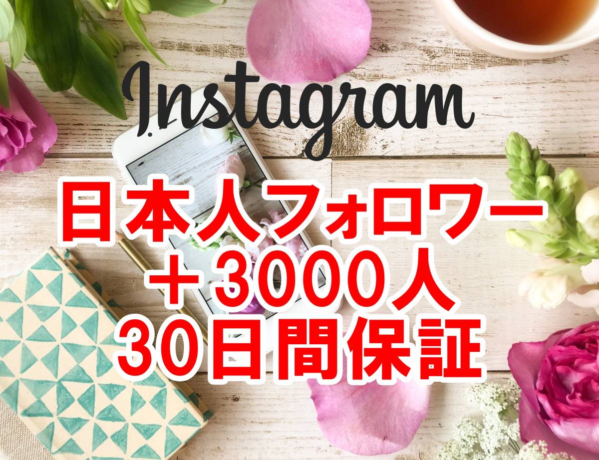 【おまけ Instagram 日本人 フォロワー 増加 3000人】 ユーチューブ 再生回数 増やせる自動増加ツール 高品質 インスタグラム インスタ