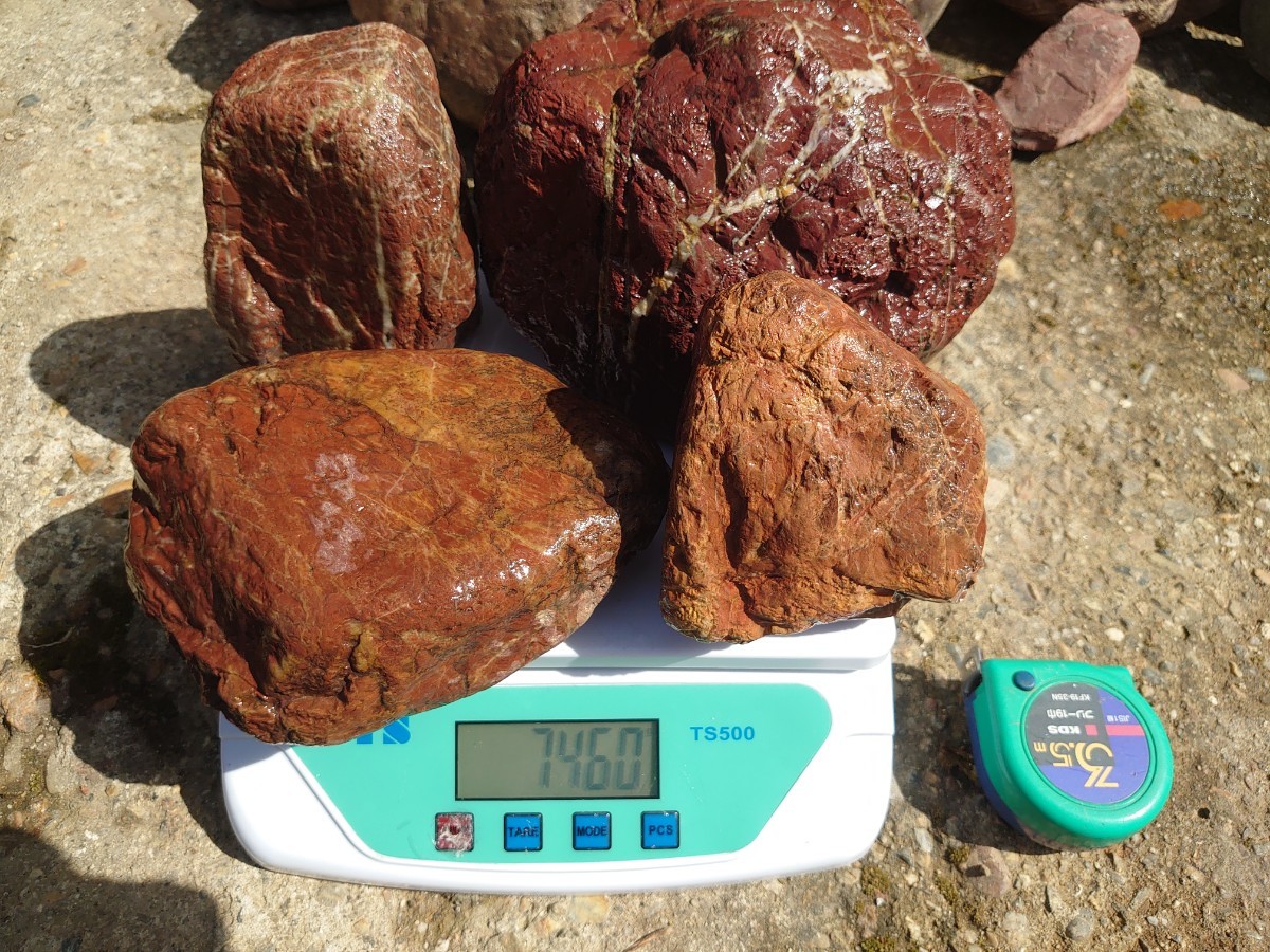 京都府産 赤石 13個 約25kg 庭石 観賞石, 49% OFF