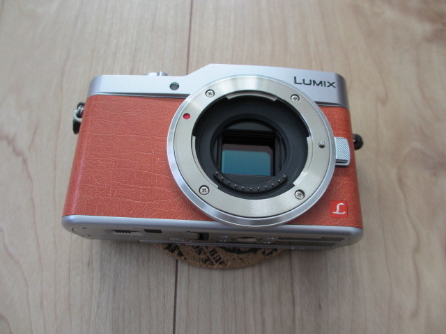 Panasonic ミラーレス一眼 ダブルレンズキット LUMIX DC-GF9W-D ダブル