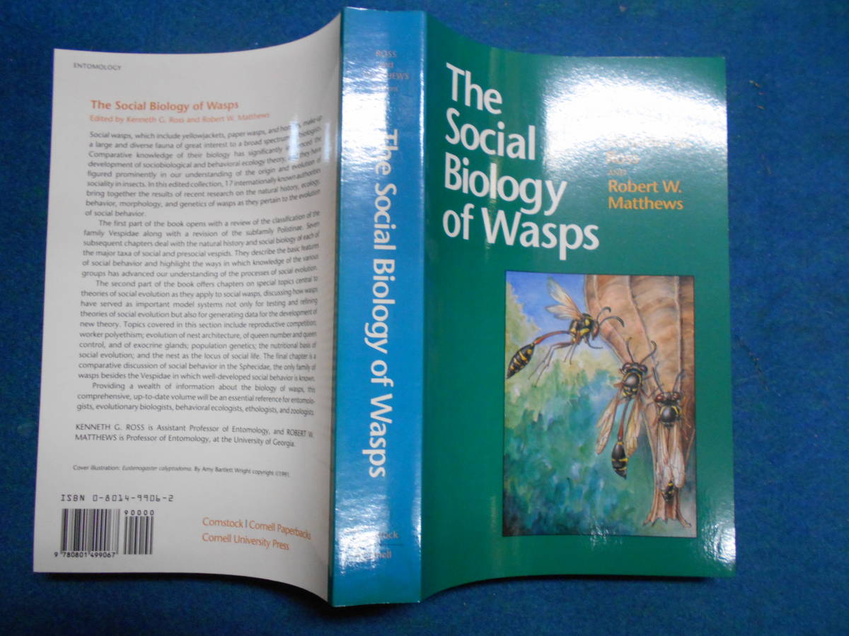 即決　昆虫学 Incect　1991年『ハチの社会生態学　The Social Biology of Wasps』ハチ目 膜翅目 生態 スズメバチ アシナガバチ Yahoo!フリマ（旧）のサムネイル