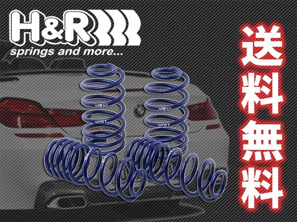 H&R ダウンサス ミニ ペースマン R SS SSS SSSA RJCA RS