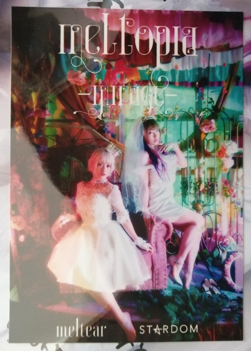 スターダム 中野たむ なつぽい 直筆 サイン付き meltear 写真集