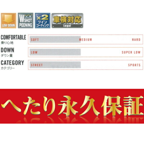 TANABE NF210ダウンサス前後セット GRX130マークX 250G 16/11～