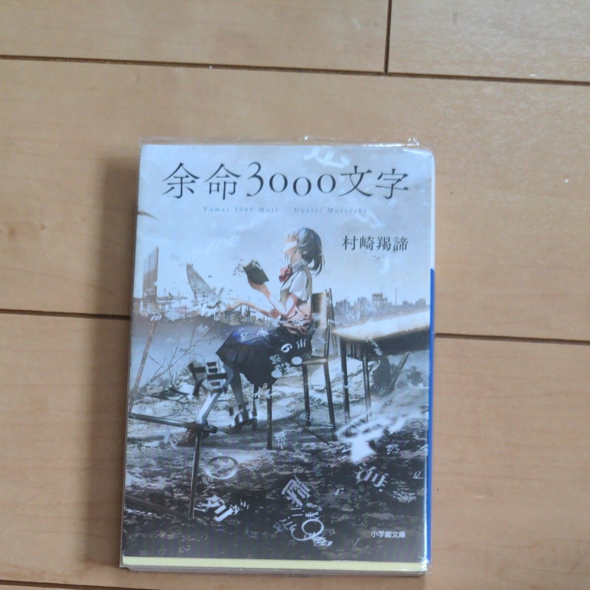 余命３０００文字 （小学館文庫　む４－１） 村崎羯諦／著