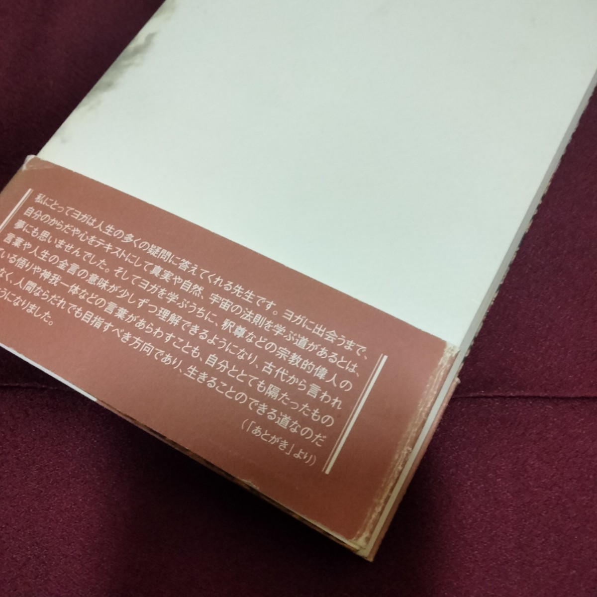 生き方としてのヨガ　龍村　修　　人文書院　帯付き美品　270ページ　2012年3月発行　ヨガ　精神　_画像5