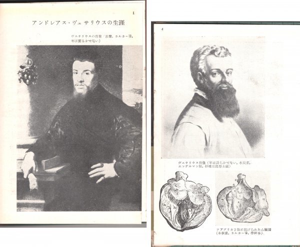 ◎即決◆送料無料◆ 生物科学の創始者　 ヴェサリウスの生涯　 内山孝一　 中央公論社　 1949年_画像3