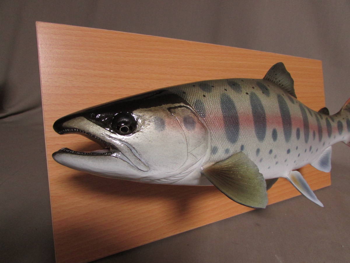 ○ハンドメイド 自作 39cmヤマメ 壁掛け フィギュア レプリカ ○ハンドメイド 自作 39cmヤマメ 壁掛け フィギュア レプリカ