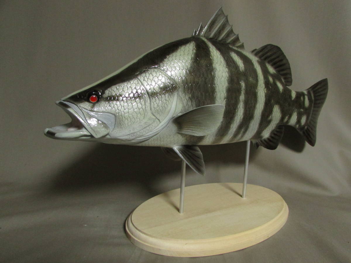 ハンドメイド 手作り 50cmアカメ 幼魚色 魚模型 フィギュア ハンドメイド 手作り 50cmアカメ 幼魚色 魚模型 フィギュア