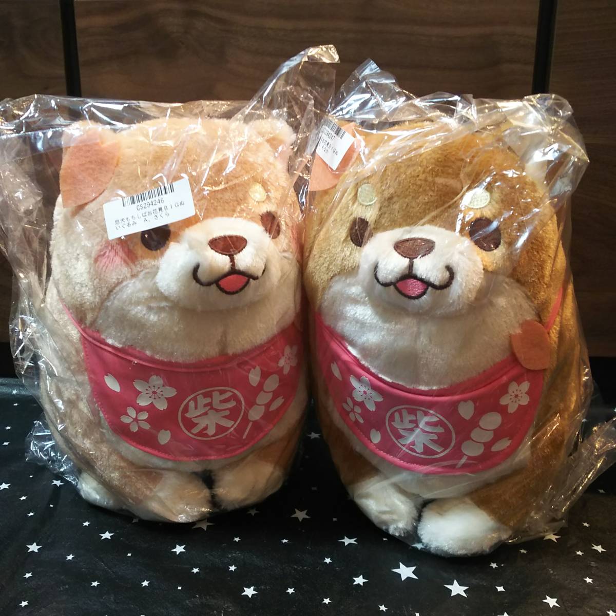 忠犬もちしば お花見BIGぬいぐるみ <さくら・もなか> 2種 忠犬もちしば お花見BIGぬいぐるみ <さくら・もなか> 2種