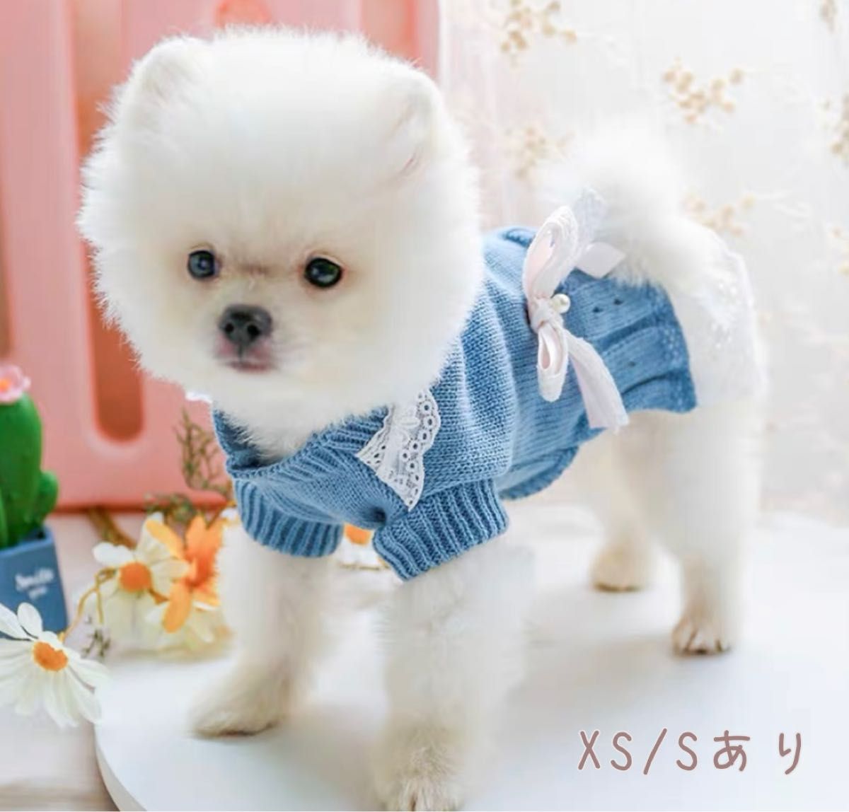 【SALE】犬服*ノースリーブワンピ　レースがかわいい　XS S  ペット　水色　