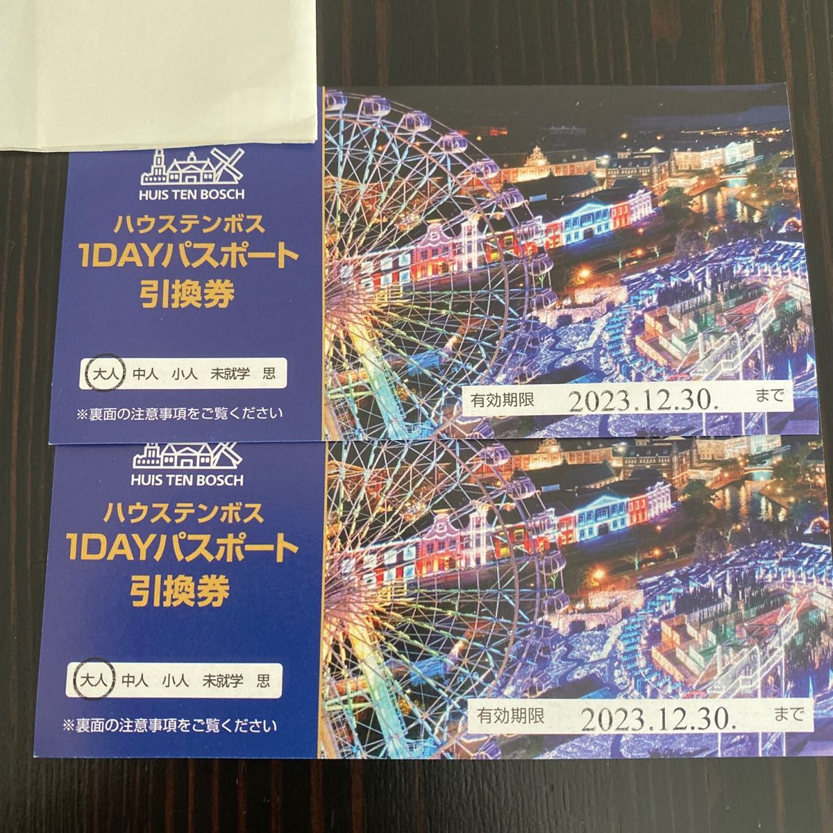 楽天最安値に挑戦】 ハウステンボス 1DAYパスポート引換券 大人2枚