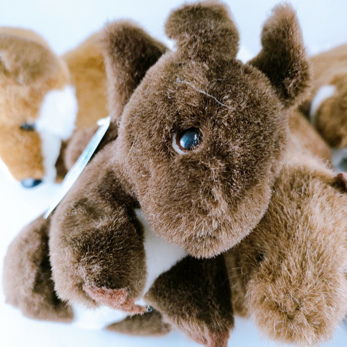 日本の野生動物 6種 ぬいぐるみ ヴィンテージ TAITO まとめ 景品 人形