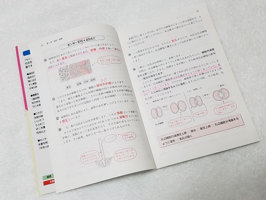 ヤフオク 文英堂 大森徹のセンターはこれだけ 生物 著者