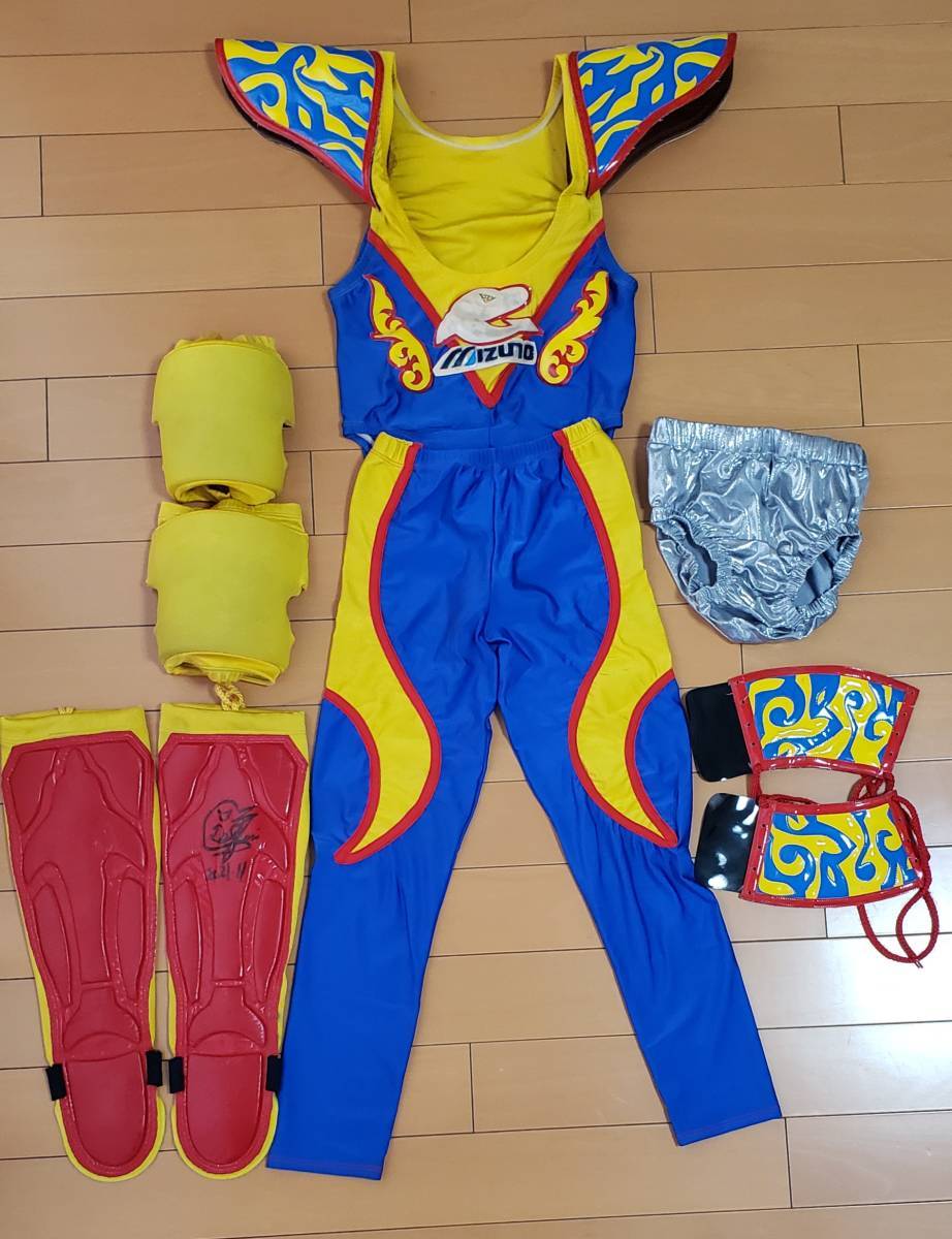 スペルデルフィン コスチューム 一式 www.anac-mali.org