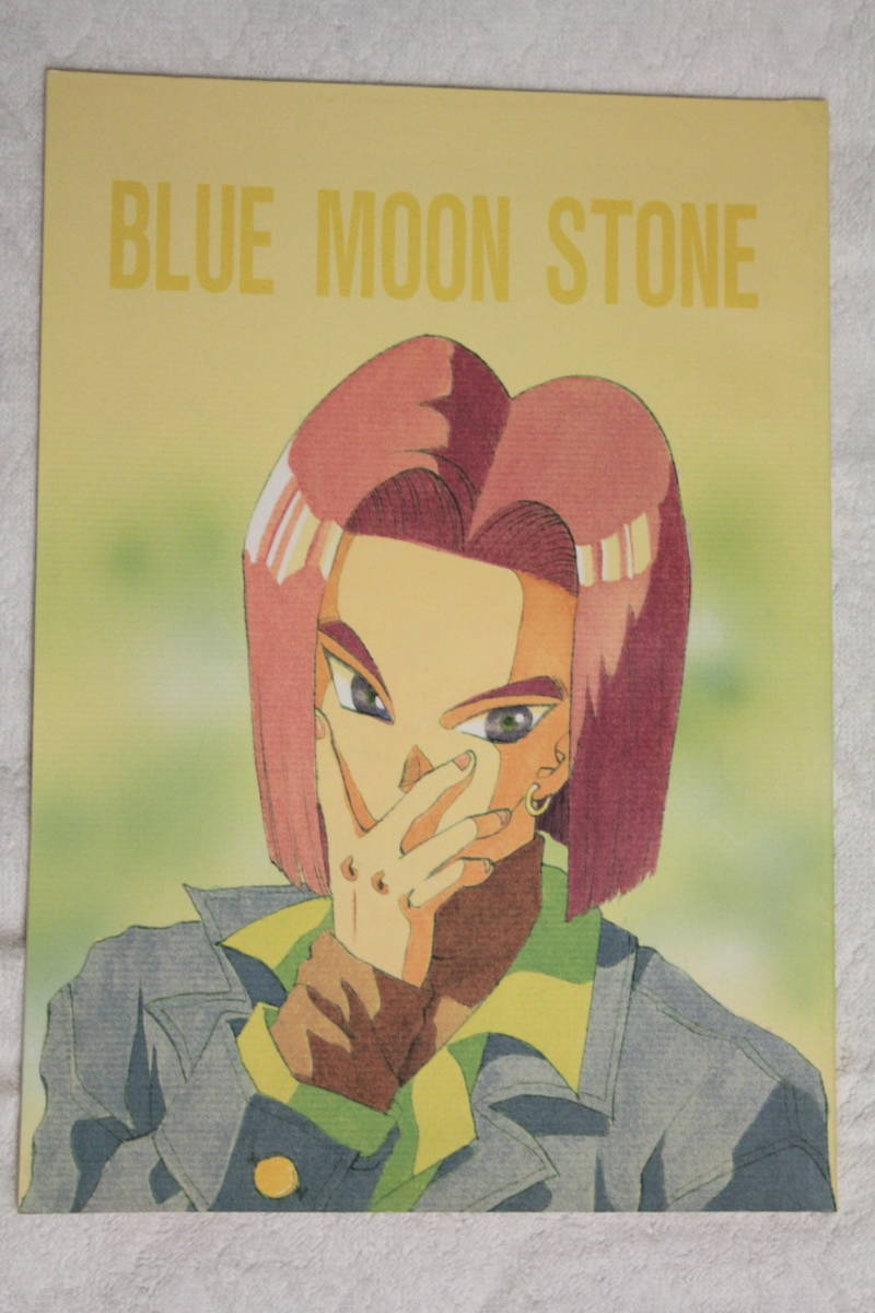  Dragon Ball журнал узкого круга литераторов *BLUE MOON STONE* человек структура человек 17 номер +18 номер *si задний s центр *.../ сосна бамбук слива .