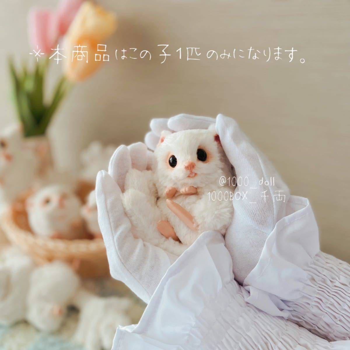 Yahoo!オークション - 『テクセネズミモドキ』『チョキ』1000BOX Yahoo!オークション - 『テクセネズミモドキ』『チョキ』1000BOX