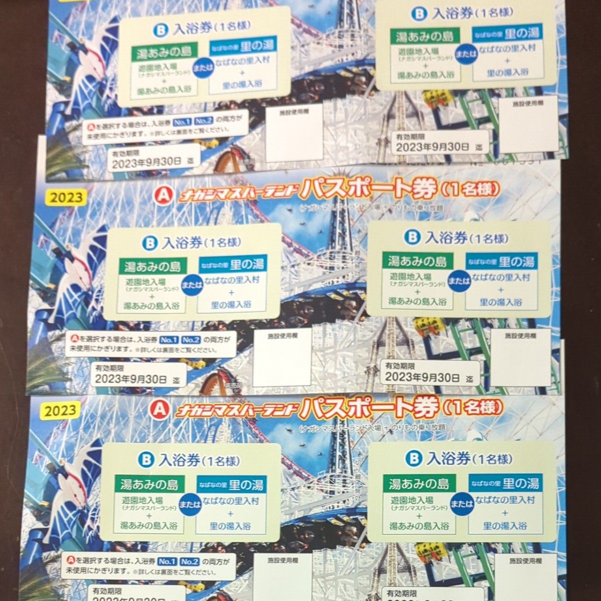 97%以上節約 ナガシマスパーランド 入場券 チケット4枚セット zlote