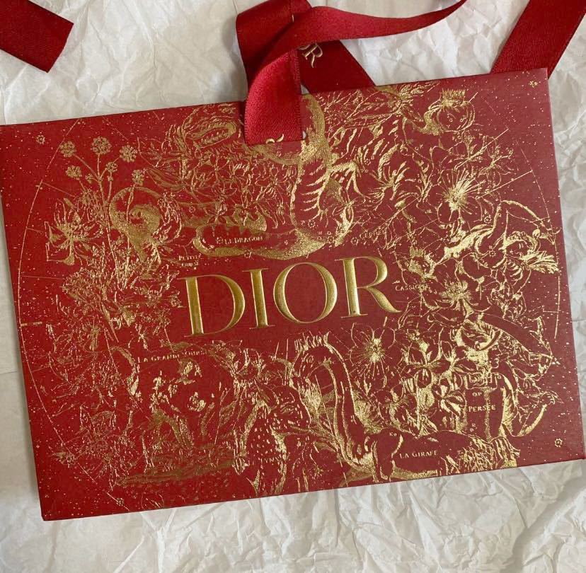 激レア christian dior ギフトバッグ リボン付きショッパー 激レア christian dior ギフトバッグ リボン付きショッパー