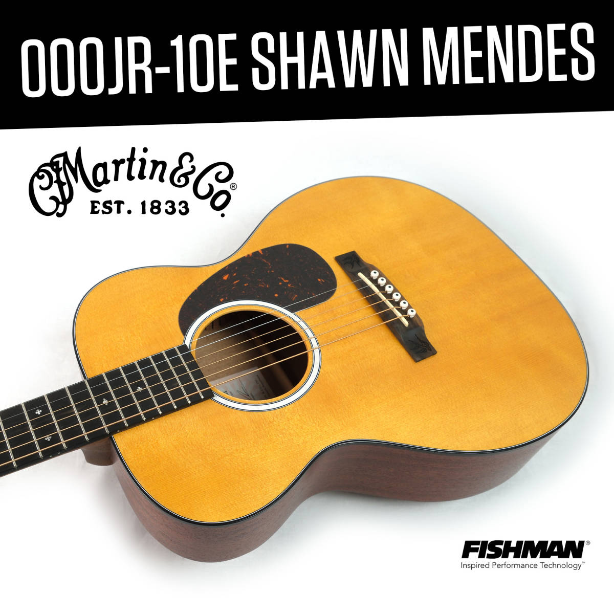 MARTIN 000JR-10E SHAWN MENDES-