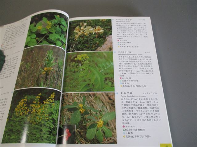 植物図鑑　「新版北海道の花」　鮫島惇一郎　辻井達一　梅沢俊　北海道大学図書刊行会　1988年　定価2400円