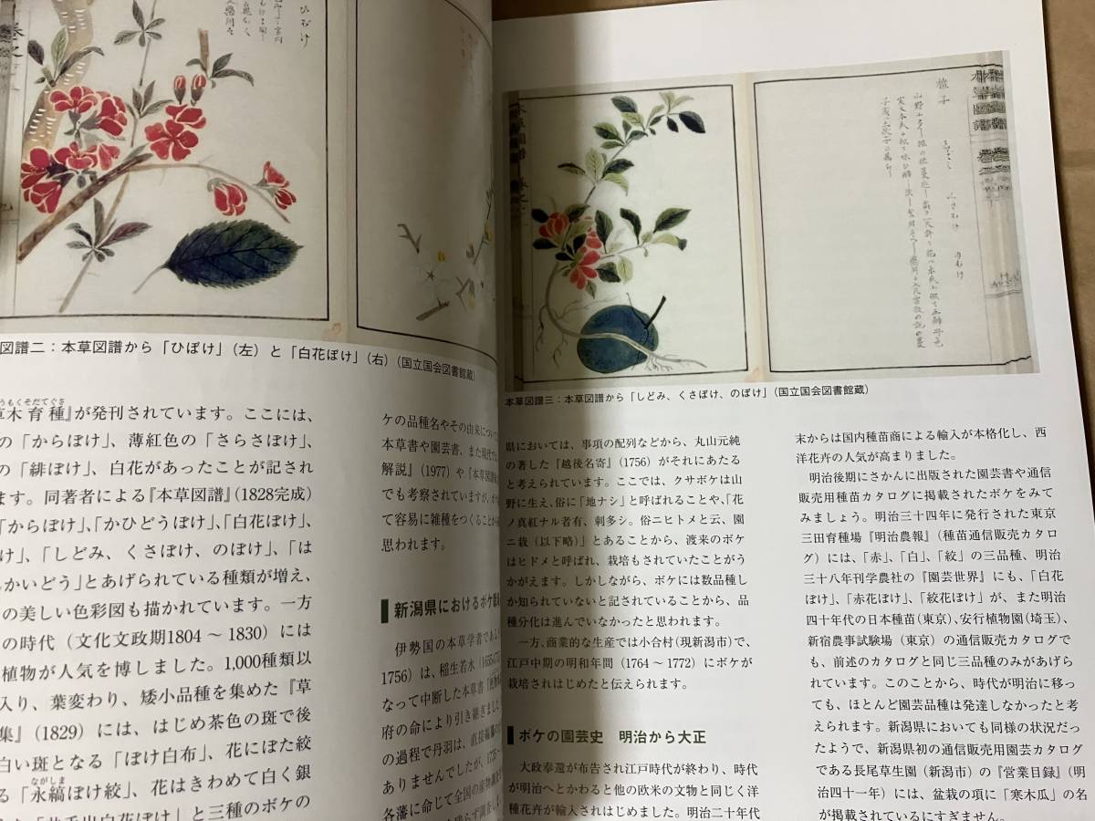  Japan becoming dim association japanese becoming dim plant illustrated reference book llustrated book history charge materials 