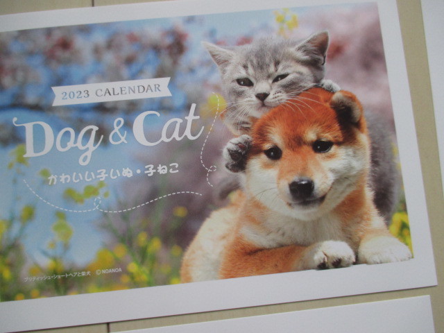 即決★住友生命 2023 カレンダー かわいい子いぬ・子ねこ Dog & Cat★卓上カレンダー×壁掛け両用_画像3