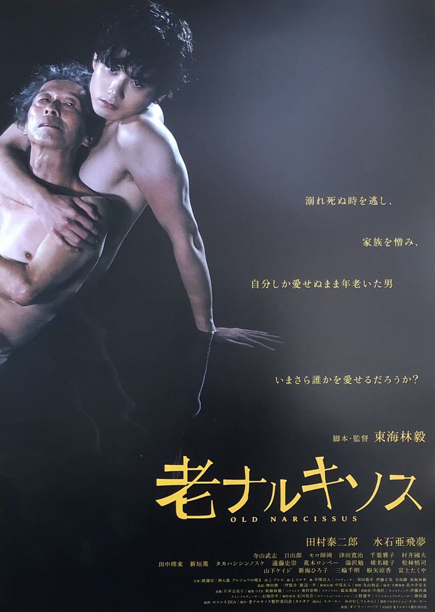 日本映画「老ナルキソス」チラシ 非売品 5枚組 田村泰二郎 水石亜飛夢 寺山武志 日出郎 モロ師岡 津田寛治 村井國夫 東海林毅 監督作品_画像1