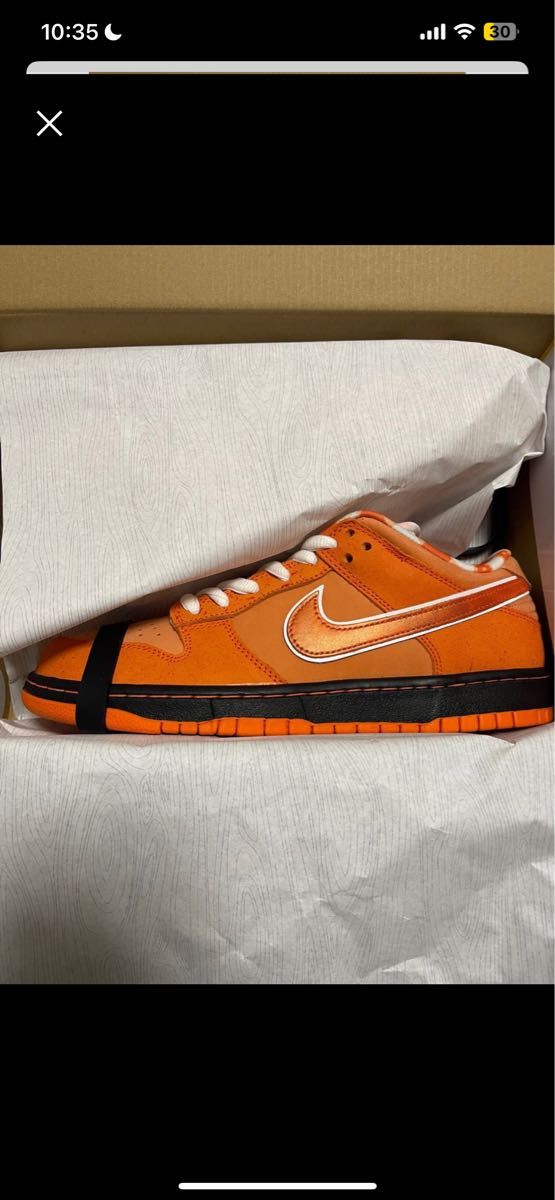 都内で NIKE 新品 27.5 FURY ナイキ SB SB PRO ナイキSB LOW DUNK