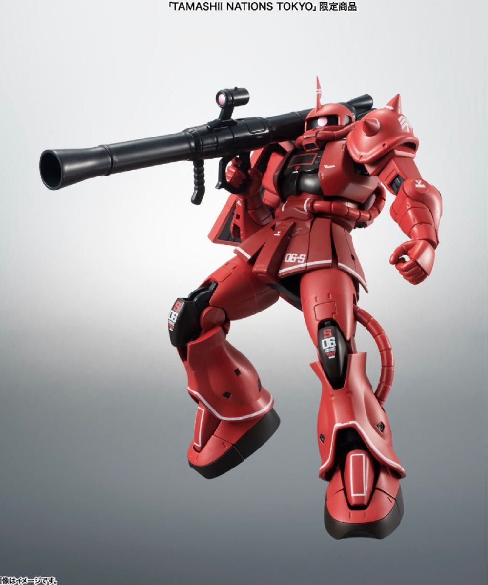 MS-06S シャア専用ザク ver. A.N.I.M.E. リアルマーキング 3