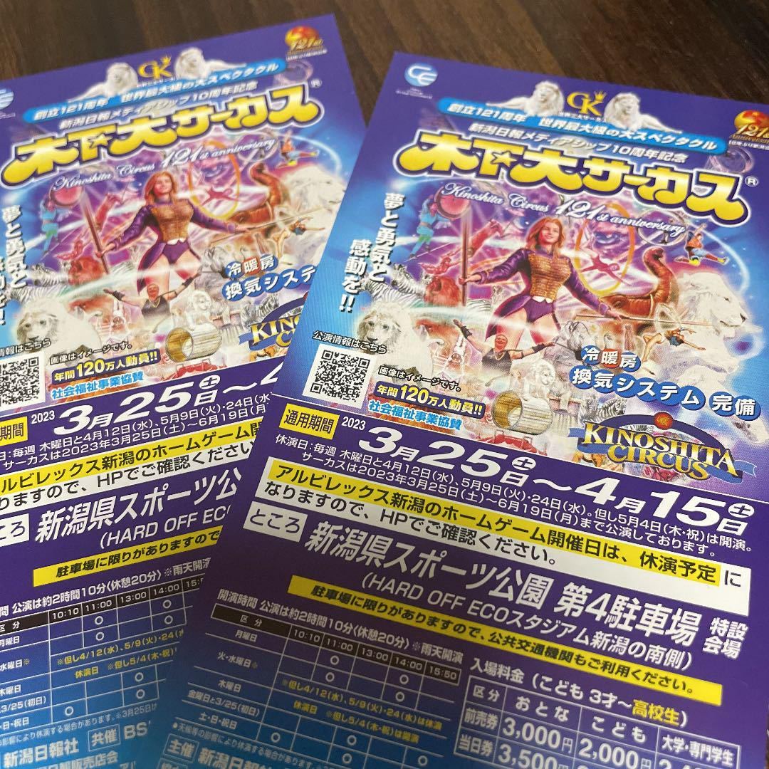 最適な価格 木下大サーカス 新潟公演 チケット 大人2枚 自由席