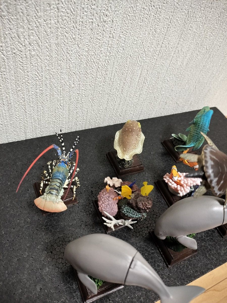 ネイチャーテクニカラー 鳥羽水族館 9つセット | noonanwaste.com