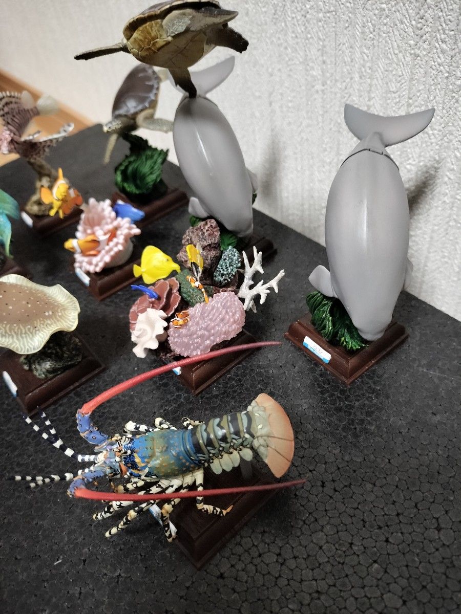 ネイチャーテクニカラー 鳥羽水族館 コンプ+α|Yahoo!フリマ(旧 ネイチャーテクニカラー 鳥羽水族館 コンプ+α|Yahoo!フリマ(旧