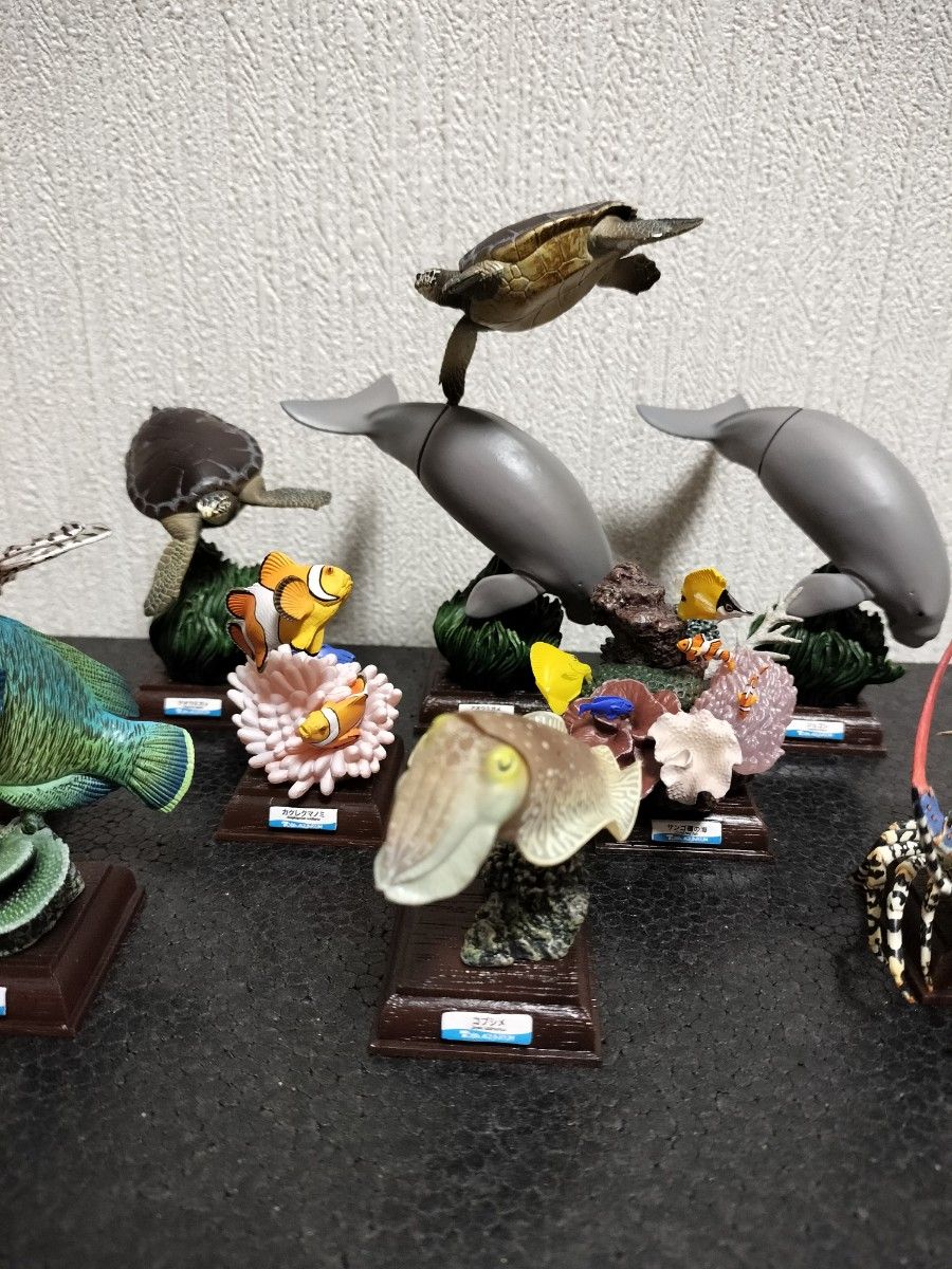 ネイチャーテクニカラー 鳥羽水族館 コンプ+α|Yahoo!フリマ(旧 ネイチャーテクニカラー 鳥羽水族館 コンプ+α|Yahoo!フリマ(旧