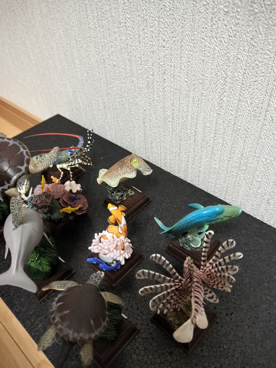 ネイチャーテクニカラー 鳥羽水族館 コンプ+α|Yahoo!フリマ(旧 ネイチャーテクニカラー 鳥羽水族館 コンプ+α|Yahoo!フリマ(旧