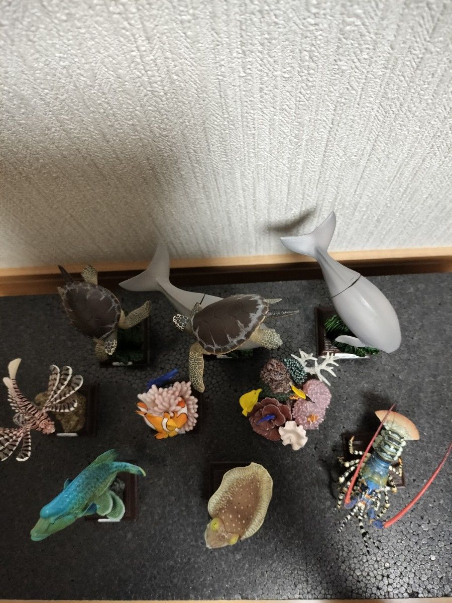 ネイチャーテクニカラー 鳥羽水族館 コンプ+α|Yahoo!フリマ(旧 ネイチャーテクニカラー 鳥羽水族館 コンプ+α|Yahoo!フリマ(旧