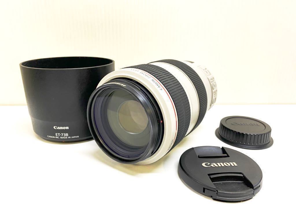 ☆美品☆ CANON キヤノン EF 70-300mm 望远レンズ 1:4-5.6 L IS USM