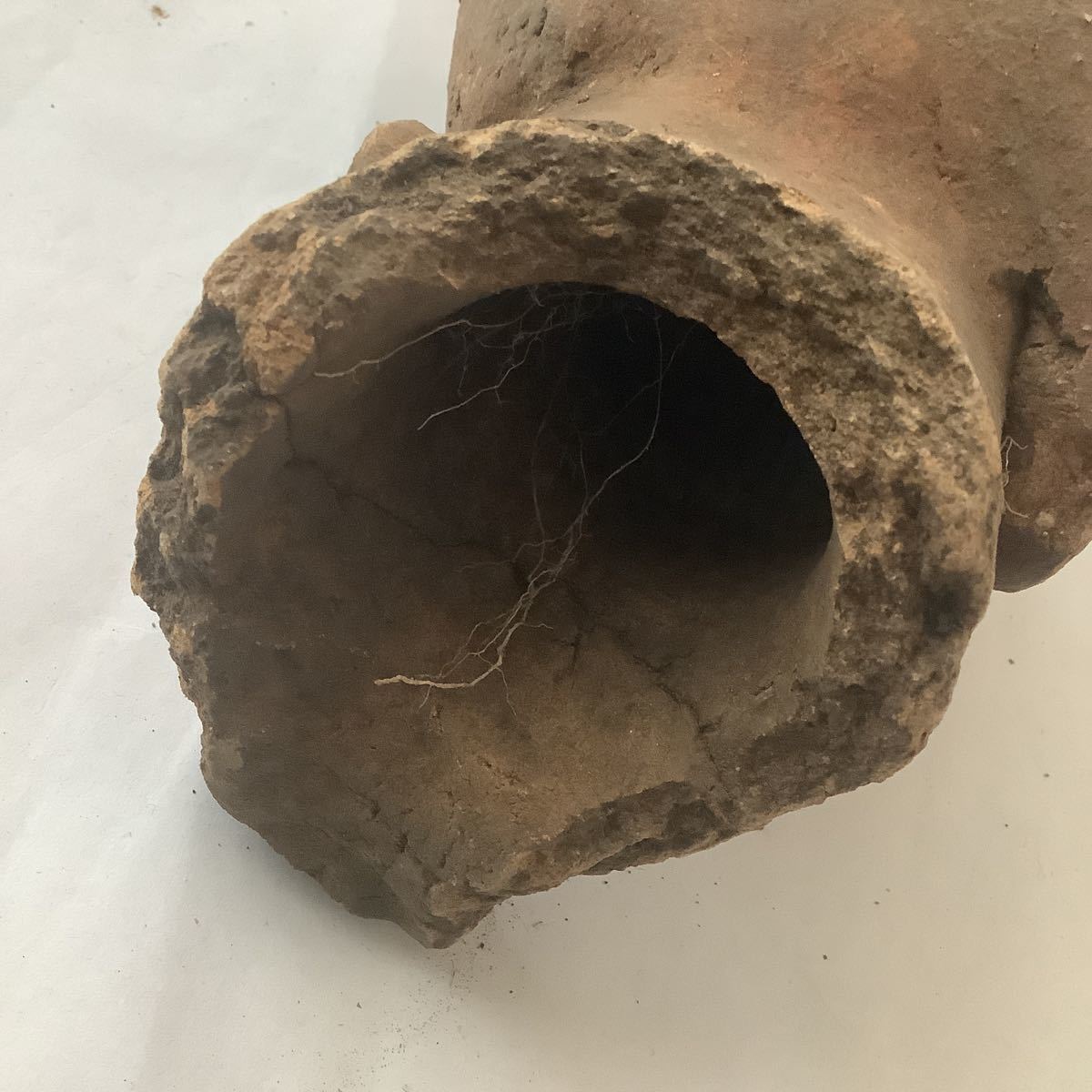 埴輪 頭部 残欠 発掘 出土品 茨城県 古墳時代